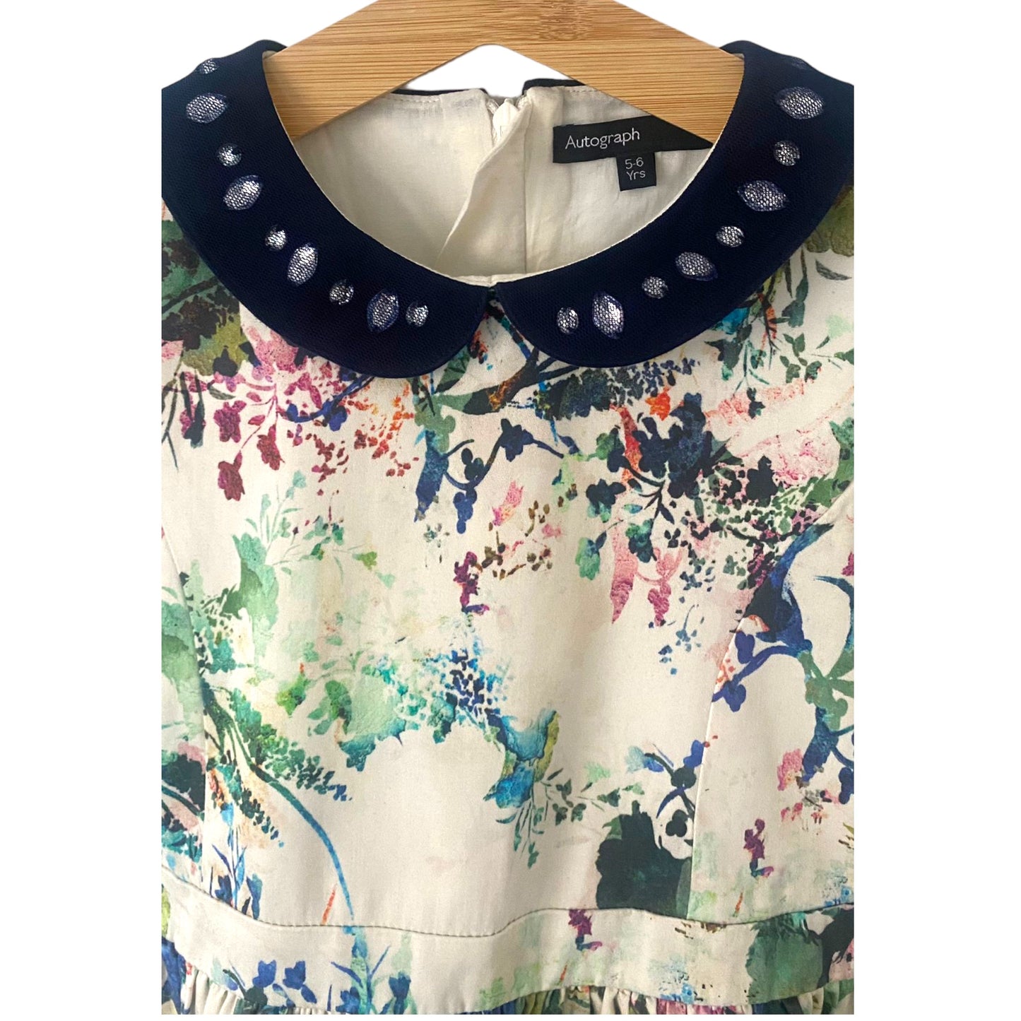 Lovely detailed gem Peter Pan collar